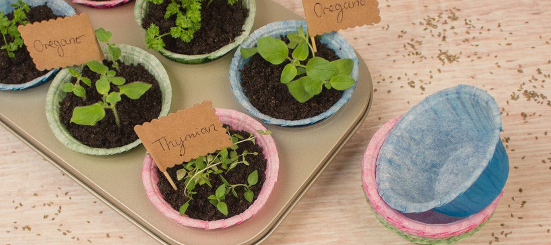 Mehrere bunte Papierförmchen mit Erde und kleinen Kräuterpflanzen, die mit Namensschildern wie „Thymian“ und „Oregano“ beschriftet sind, stehen in einer Muffinform. Rechts daneben liegen leere Muffin Papierförmchen