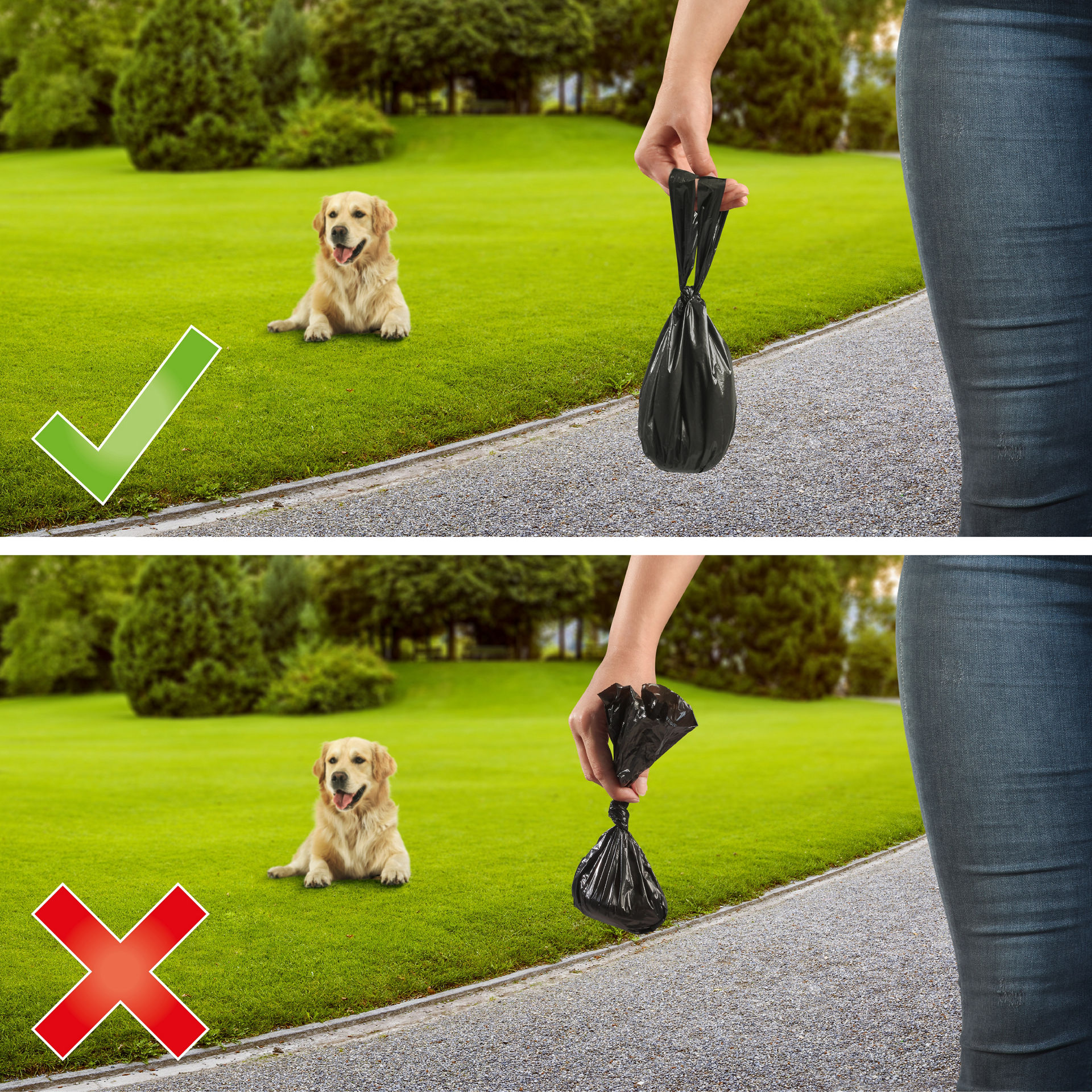 Comparaison de l’utilisation des sacs à déjections canines Swirl : en haut un sac tenu correctement avec coche verte, en bas un sac utilisé trop près du chien avec croix rouge.