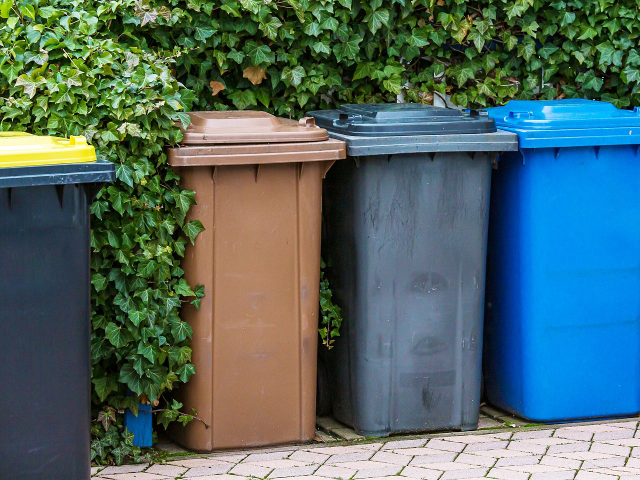 Plastik-, Bio-, Restmüll- und Papier-Mülltonne stehen vor Hecke