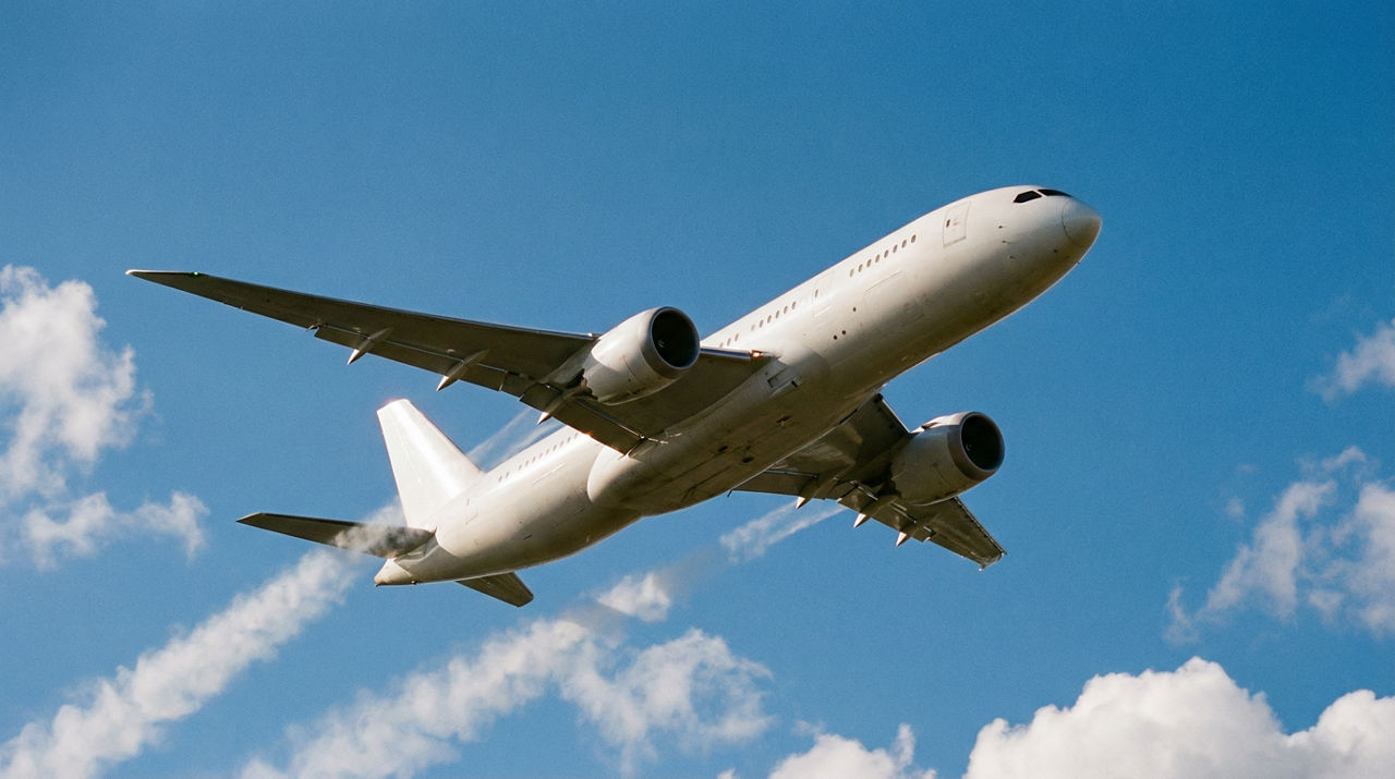 Col lombarda en platos