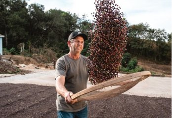 Kaffeefarmer schwingt Kaffeebohnen in Brasilien