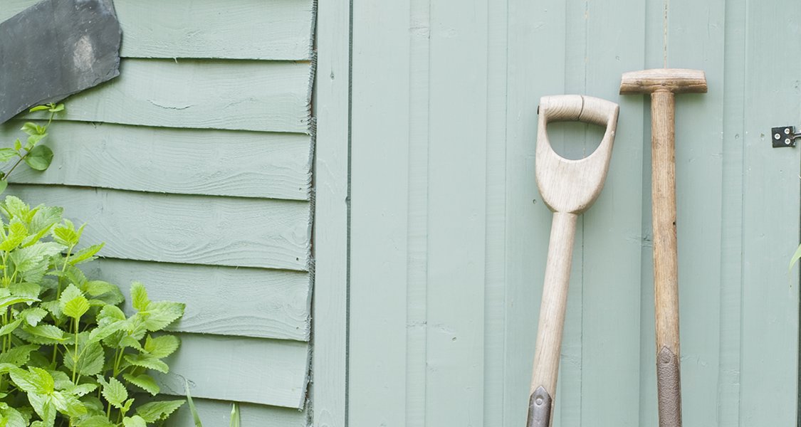 Cabane de jardin verte avec pelle et râteau appuyés devant des plantes