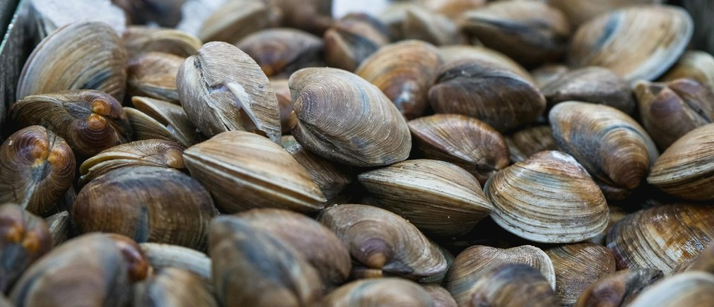 Mariscos enteros apilados en una caja con hielo picado al fondo