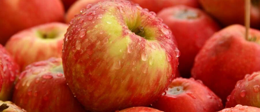 Chou rouge dans des assiettes