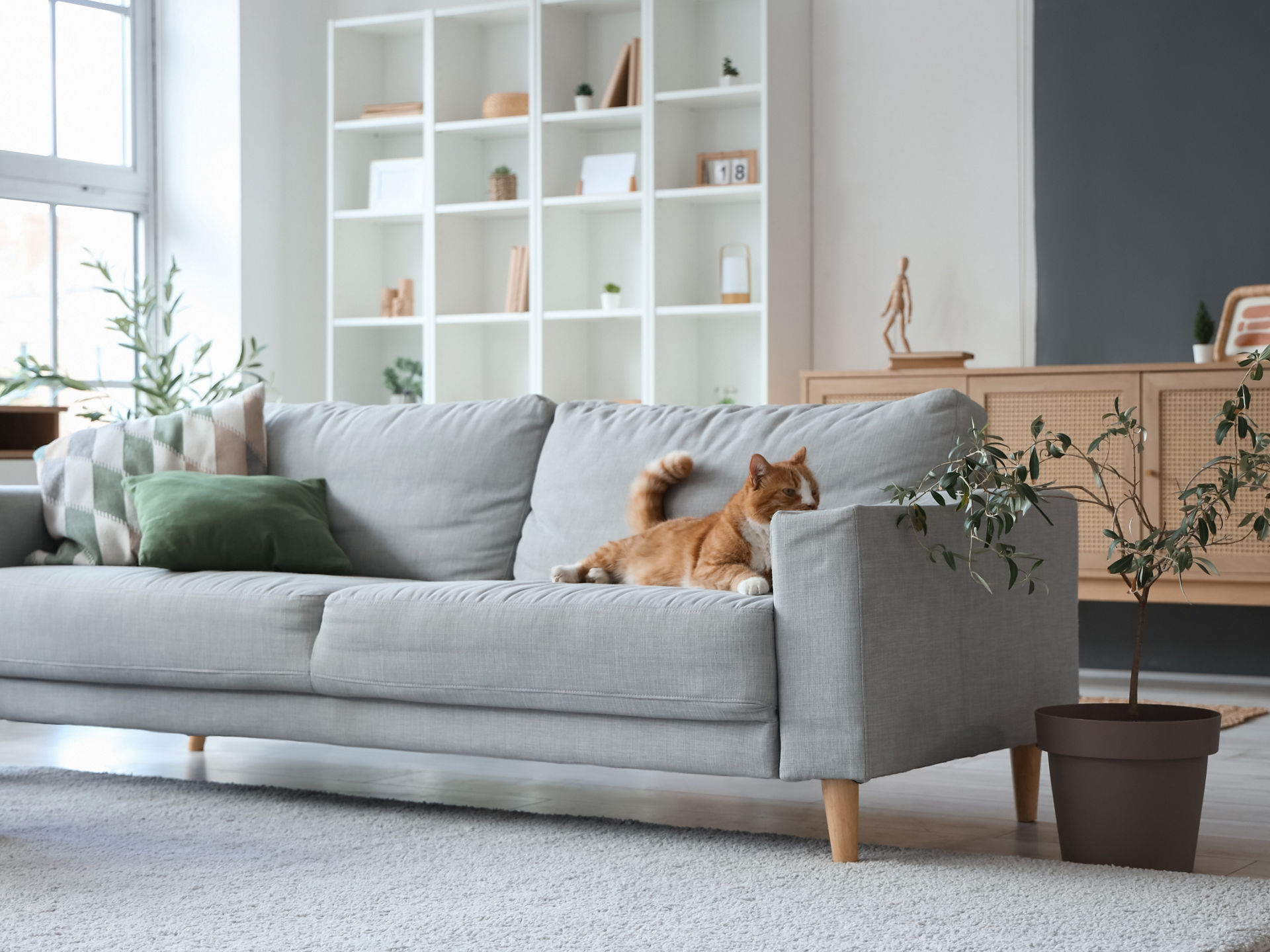 Helles Wohnzimmer mit einem grauen Sofa
