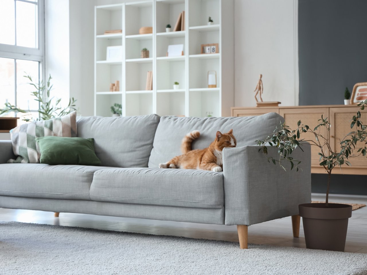 Helles Wohnzimmer mit einem grauen Sofa