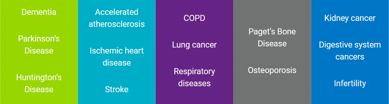 Head: Dementia, Parkinson’s Disease, Huntington’s Disease. Heart: Accelerated atherosclerosis, Ischemic heart disease, Stroke. Lung: COPD, Lung cancer, Respiratory diseases. Bones: Paget’s Bone Disease, Osteoporosis. Lower Abdomen: Kidney cancer, Digestive system cancers, Infertility