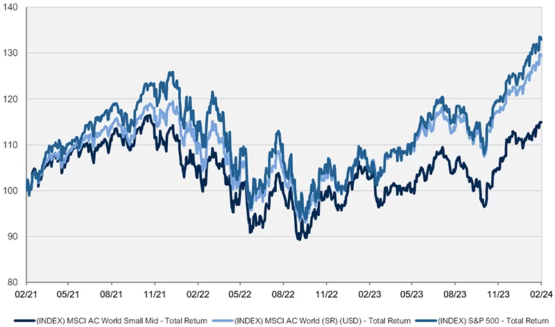 Global SMIDs have lagged large caps over the last 3 years