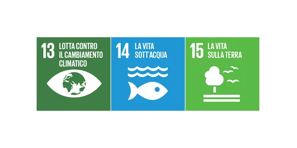 3 SDGs