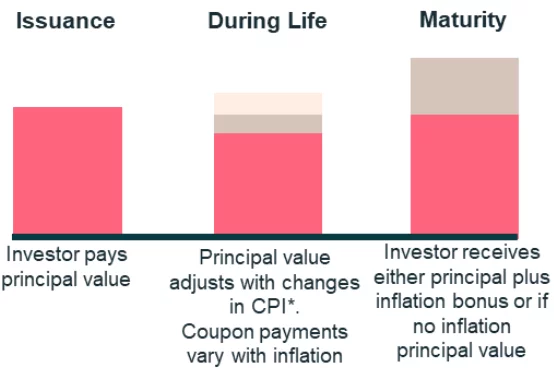 Priicipal and Coupon Value