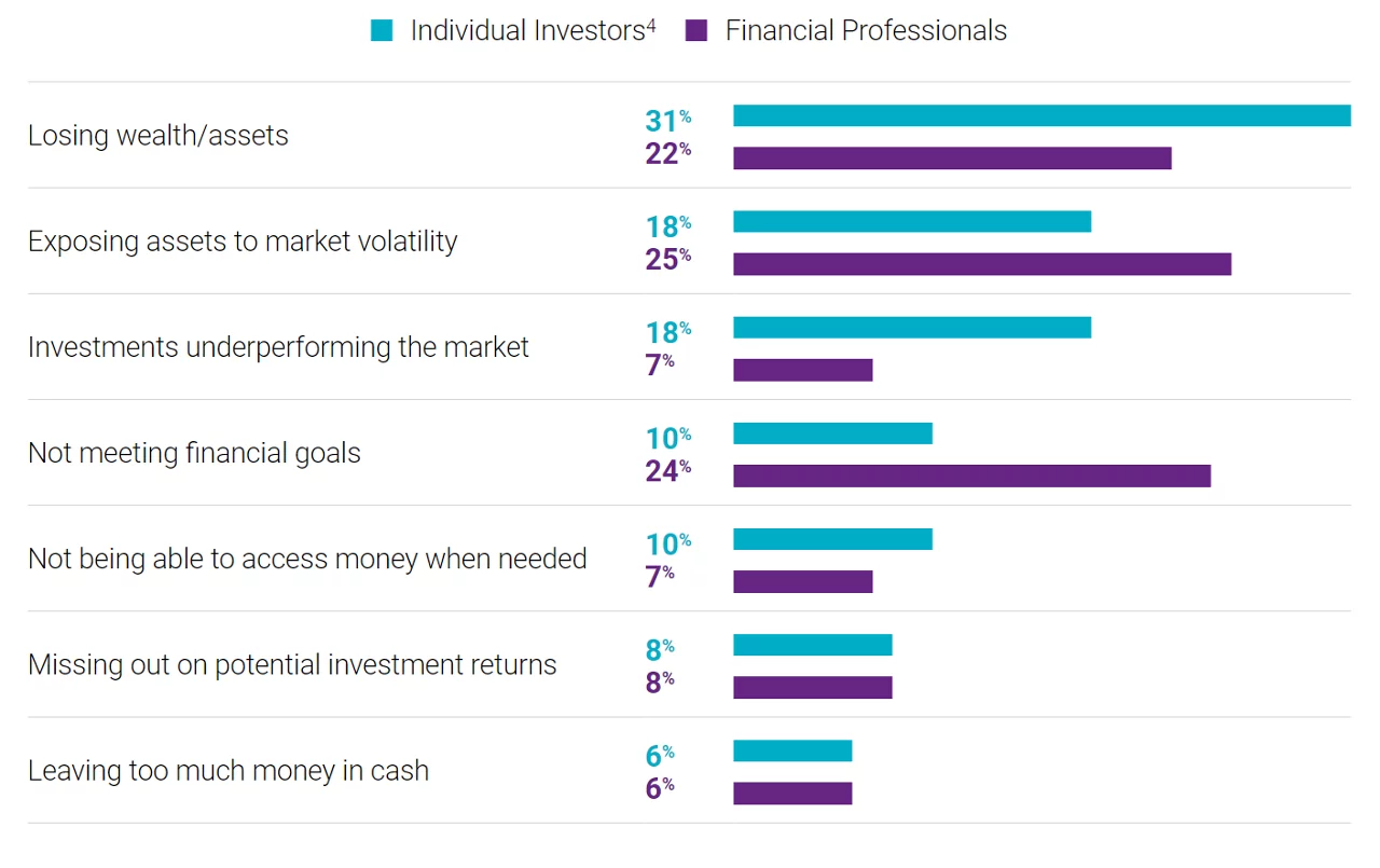 7 sets of 2 bar charts comparing Individual Investors to Financial Professionals over where they see the biggest risks in investing.