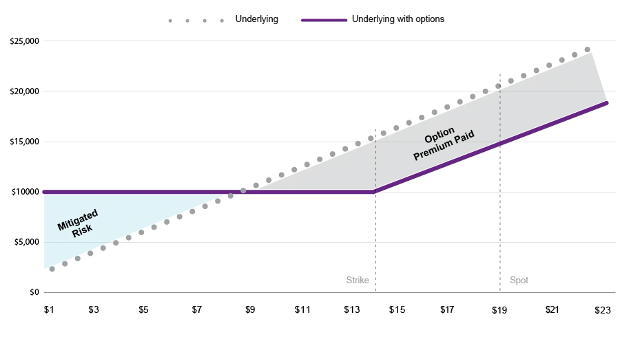 Line chart demonstrating the Put Purchase Program