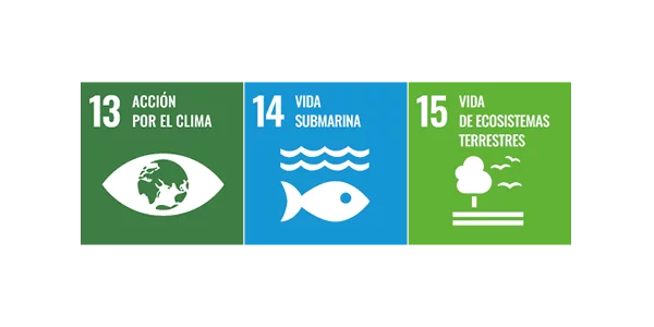 3 SDGs