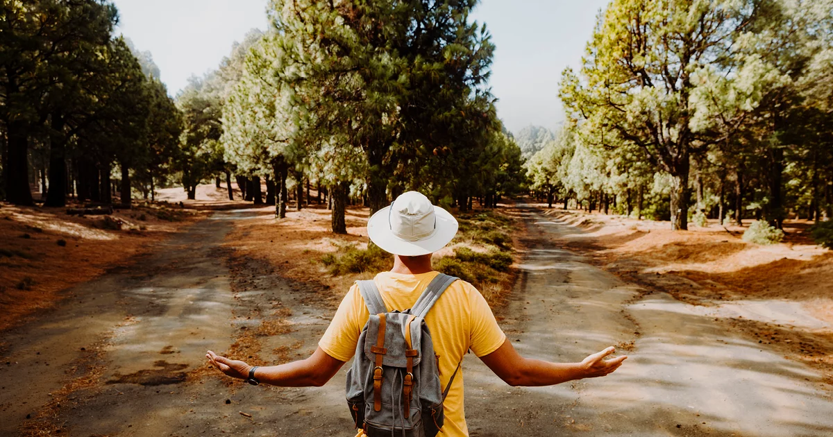 Hiker choosing path in forest crossroads