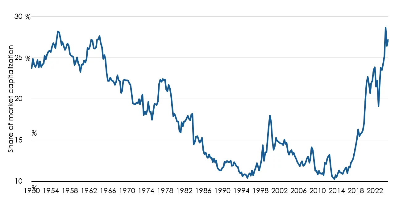 Top five S&P 500 holdings’ share of market capitalization