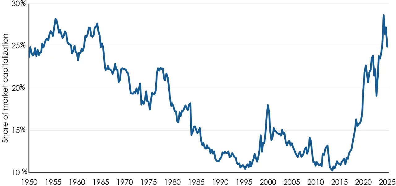 Top five S&P 500 holdings’ share of market capitalization 