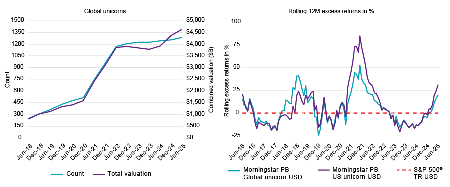 Unicorns (companies with valuations above $1B saw outsized returns in 1H 2025)