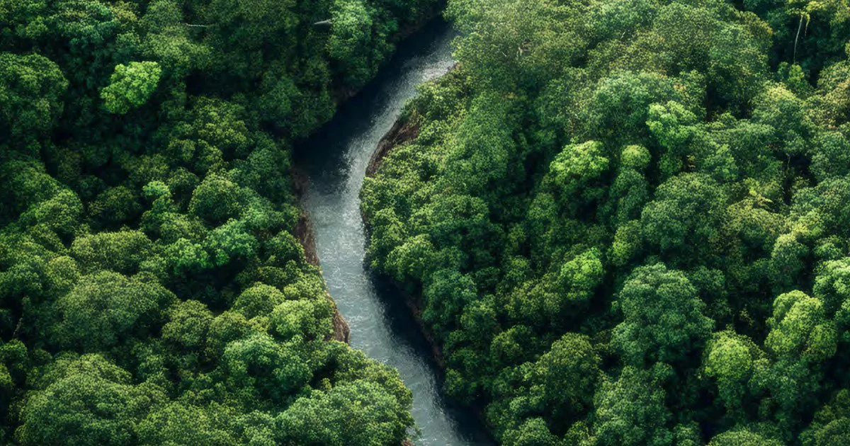 Voluntary carbon markets: building trust, scaling impact, and shaping the next decade