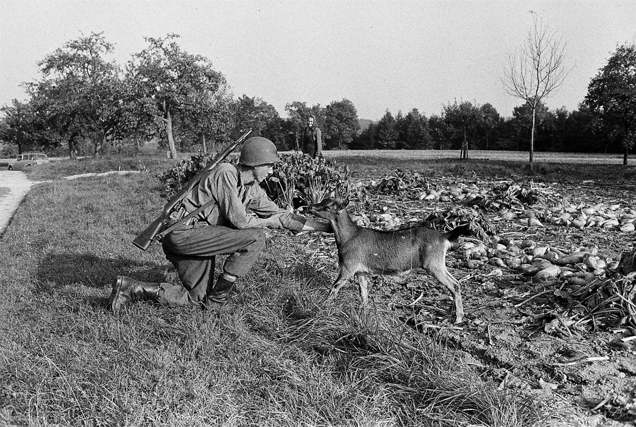 A soldier takes a moment to pet a deer during a military exercise in West Germany as a smiling farmer looks on.
