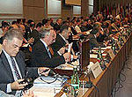 CFE Extraordinary Conference concludes | NATO News