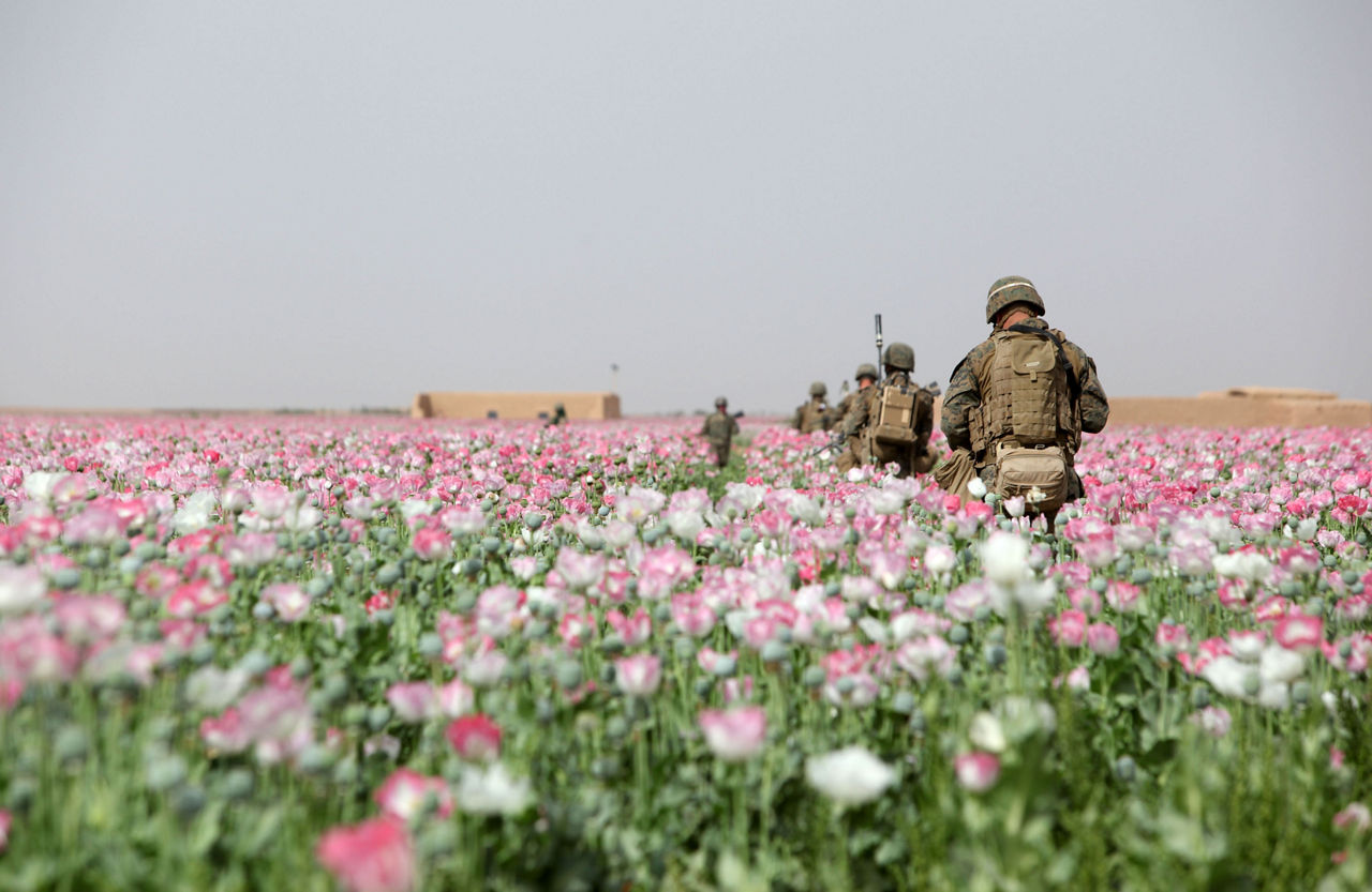 Troops conduct a patrol through a poppy field in Marjah, Afghanistan in April 2012. (Photo credit: Lance Cpl. David A. Perez, United States Marine Corps)