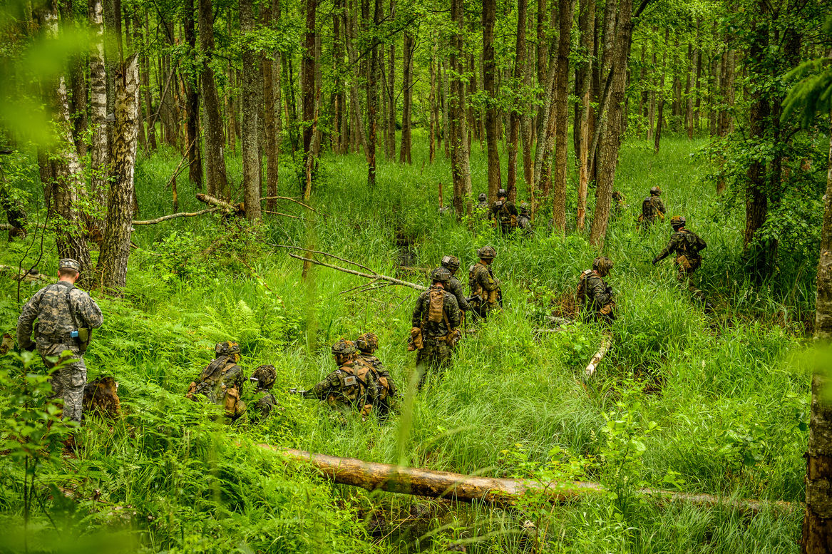 Soldiers manoeuvre through the woods during the field training portion of exercise Saber Strike in Latvia, June 2014. (Photo credit: Staff Sgt. Brett Miller, United States Army National Guard.)