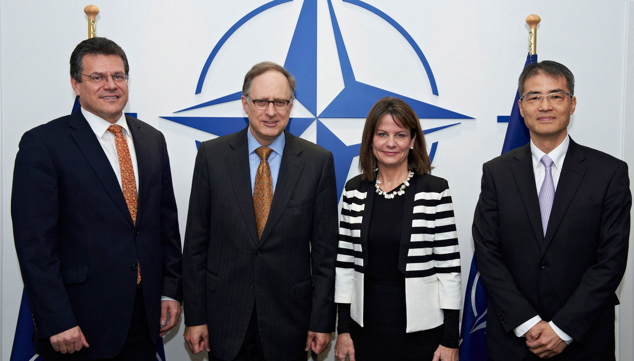 NATO Deputy Secretary General meets with Energy experts