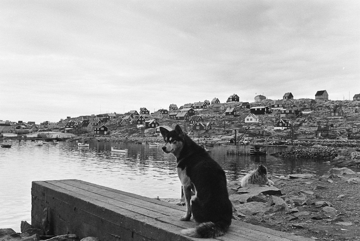 gallery-image15