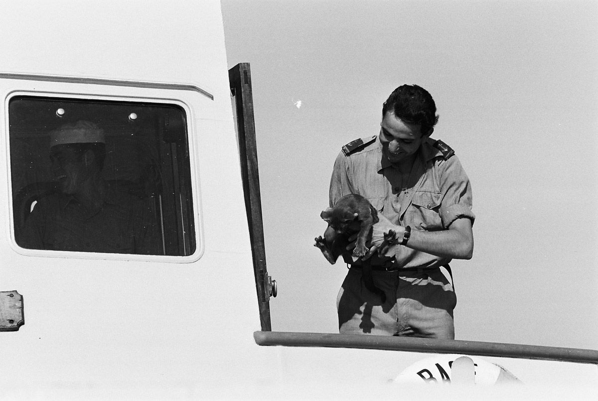 gallery-image10