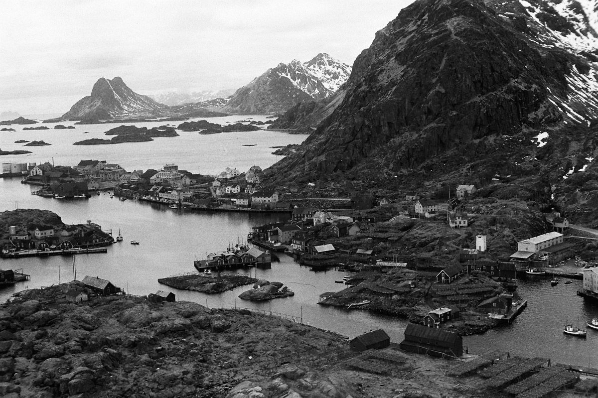 A Norwegian fjord