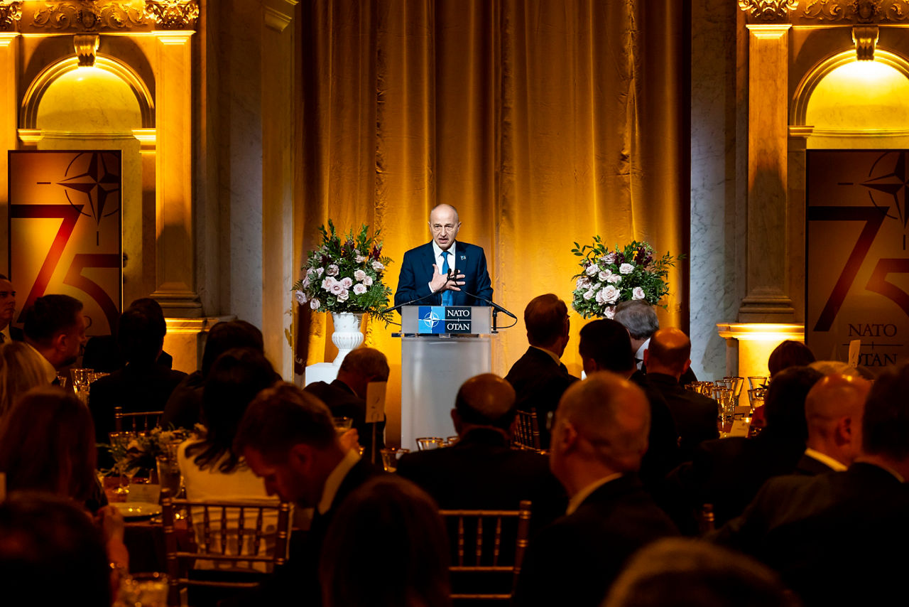 Remarks by NATO Deputy Secretary General Mircea Geoana