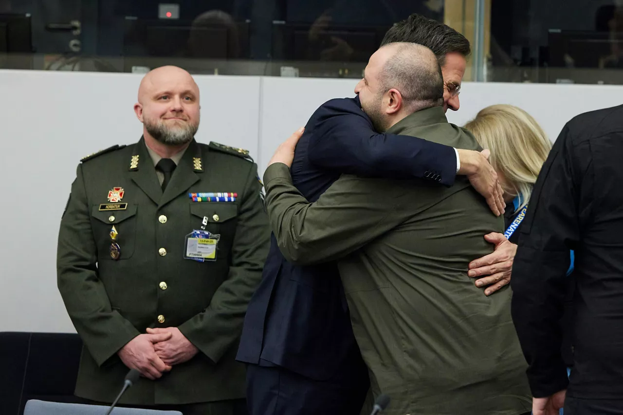 Ukraine Defense Contact Group meeting participants