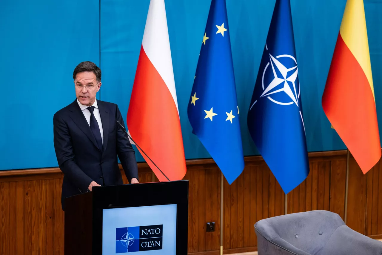 NATO Secretary General Mark Rutte at the Warsaw School of Economics