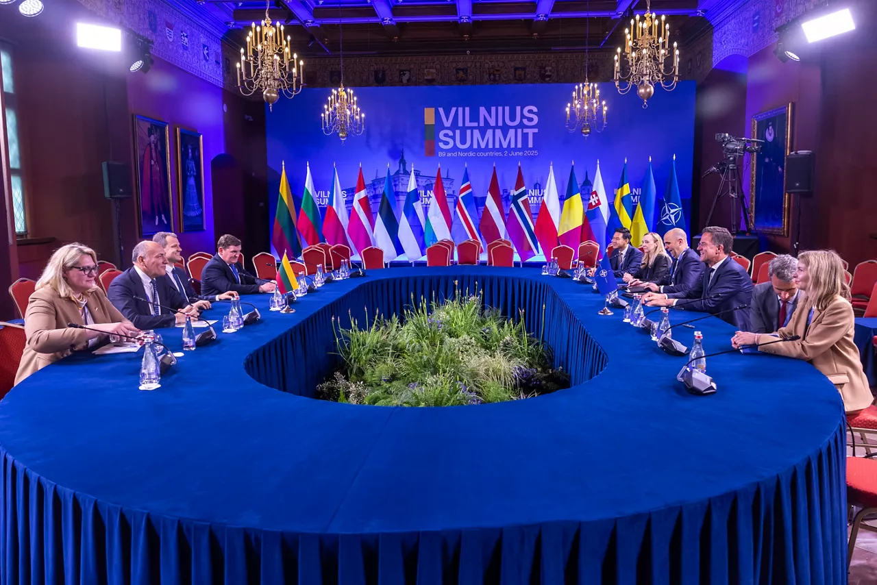 NATO Secretary General Mark Rutte meets with Gintautas Paluckas, Prime Minister of Lithuania