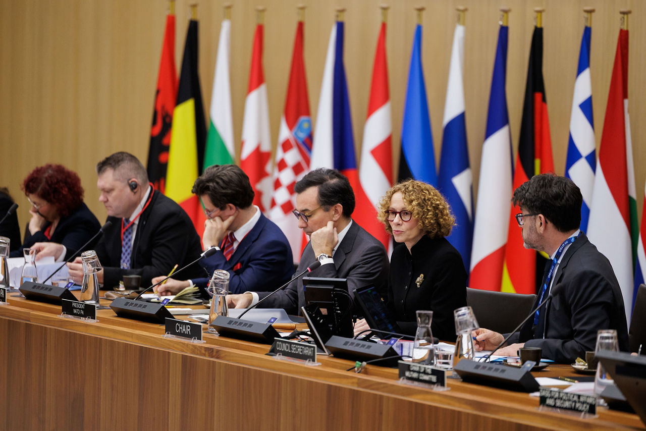 Marcos Perestrello, President of the NATO Parliamentary Assembly, briefing the North Atlantic Council (NAC) at NATO Headquarters in Brussels, Belgium