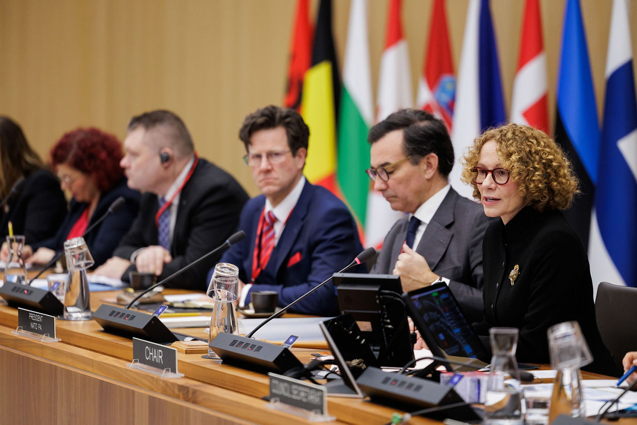 Marcos Perestrello, President of the NATO Parliamentary Assembly, briefing the North Atlantic Council (NAC) at NATO Headquarters in Brussels, Belgium
