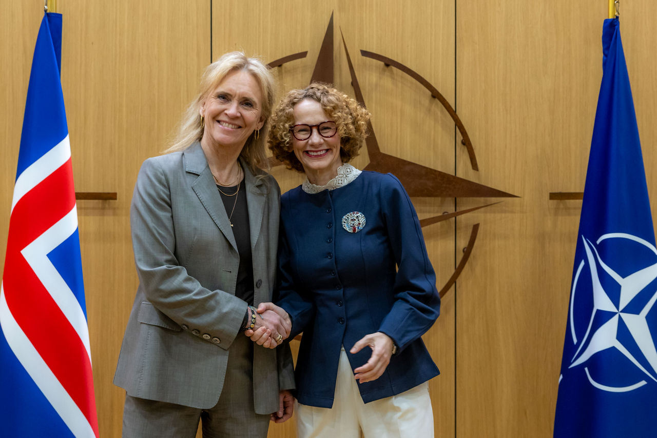 NATO Deputy Secretary General meets the Minister for Foreign Affairs of Iceland