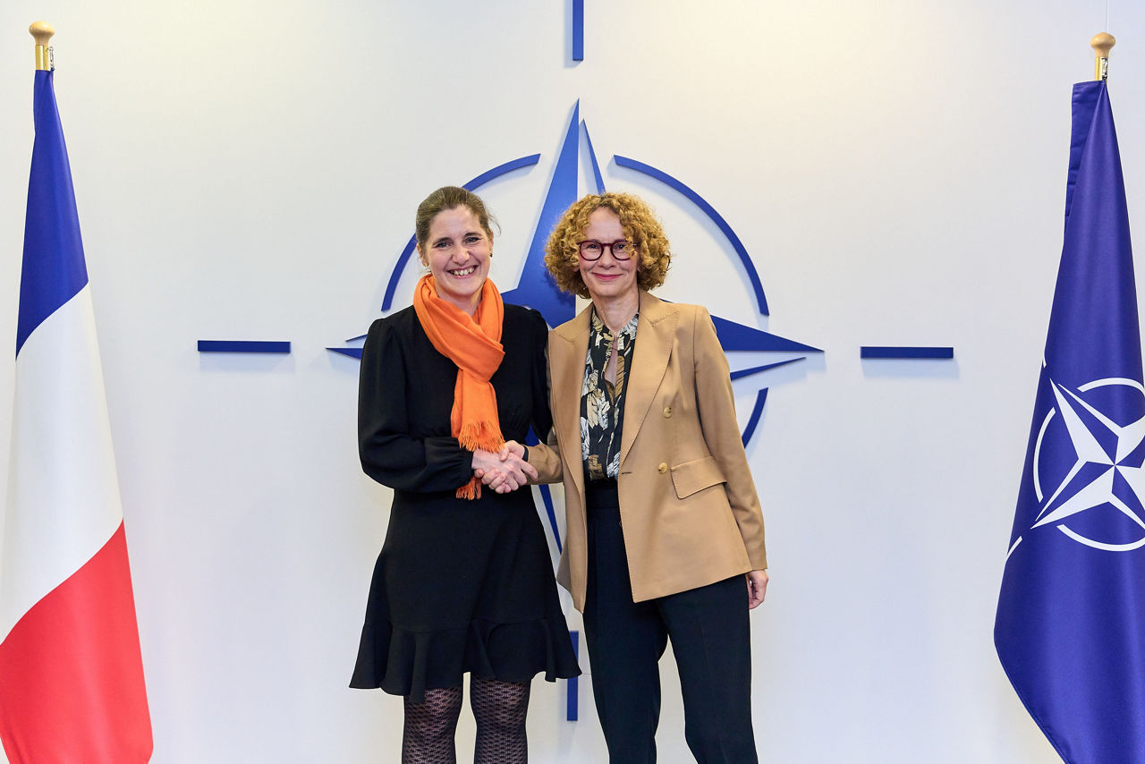 NATO Deputy Secretary General meets with the Director for Strategic Affairs, Security and Disarmament of the French Ministry of Europe and Foreign Affairs