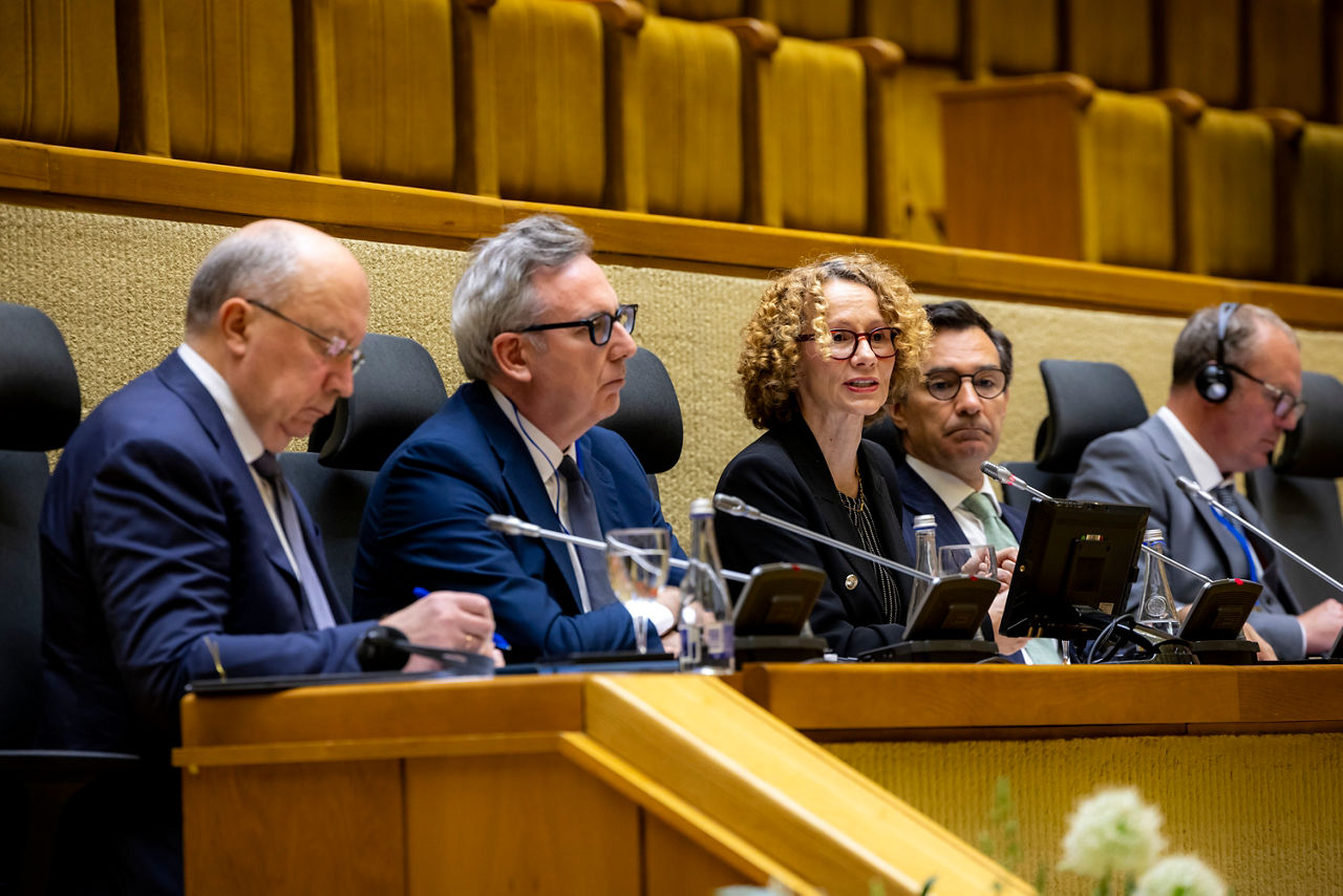 Moderated discussion and Q&A session with NATO Deputy Secretary General Radmila Shekerinska at the Spring Session of the NATO Parliamentary Assembly