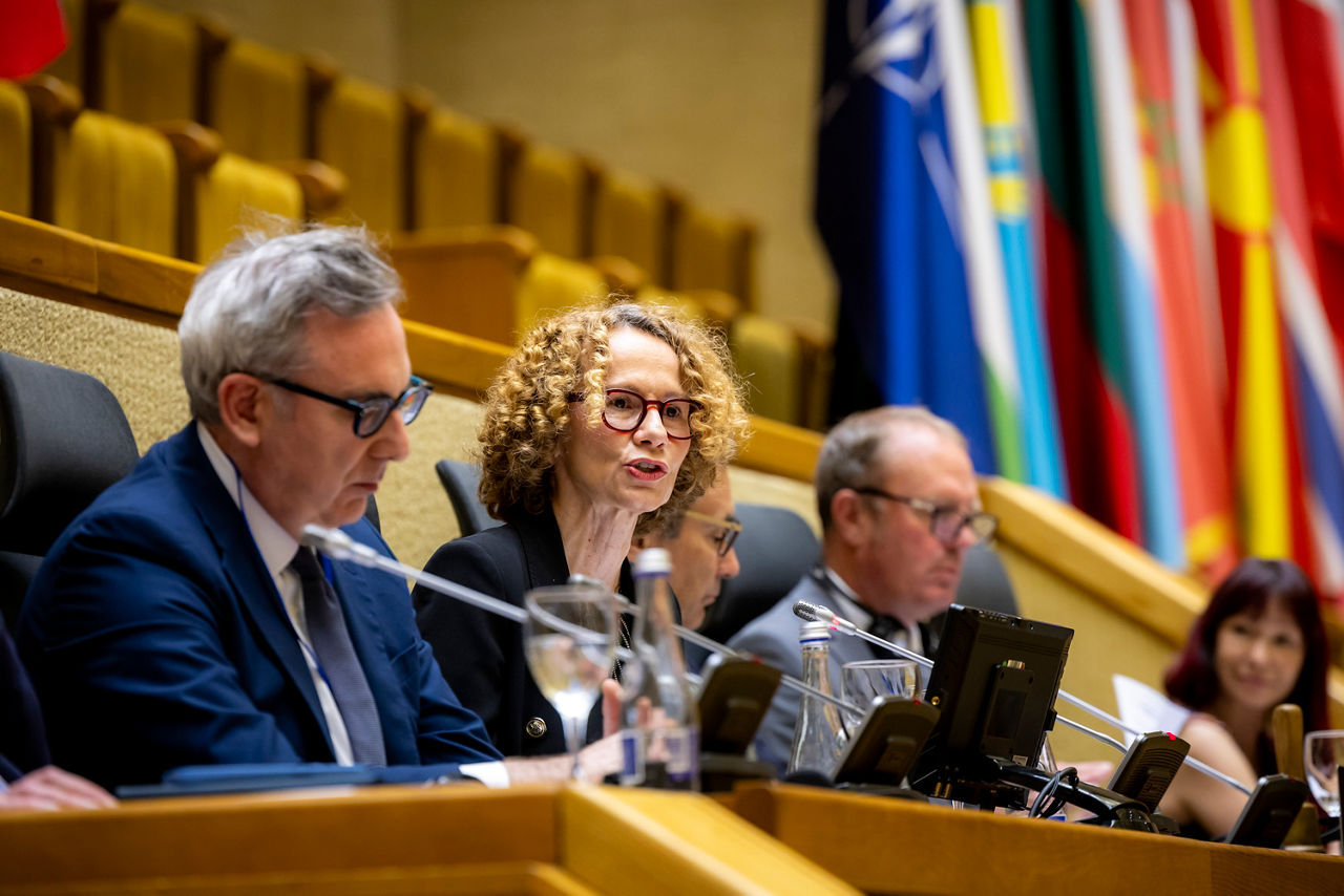 Moderated discussion and Q&A session with NATO Deputy Secretary General Radmila Shekerinska at the Spring Session of the NATO Parliamentary Assembly