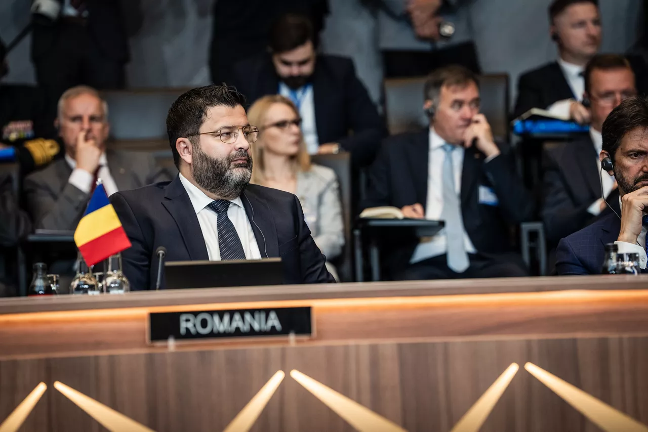 Dan Neculăescu, Permanent Representative of Romania to NATO