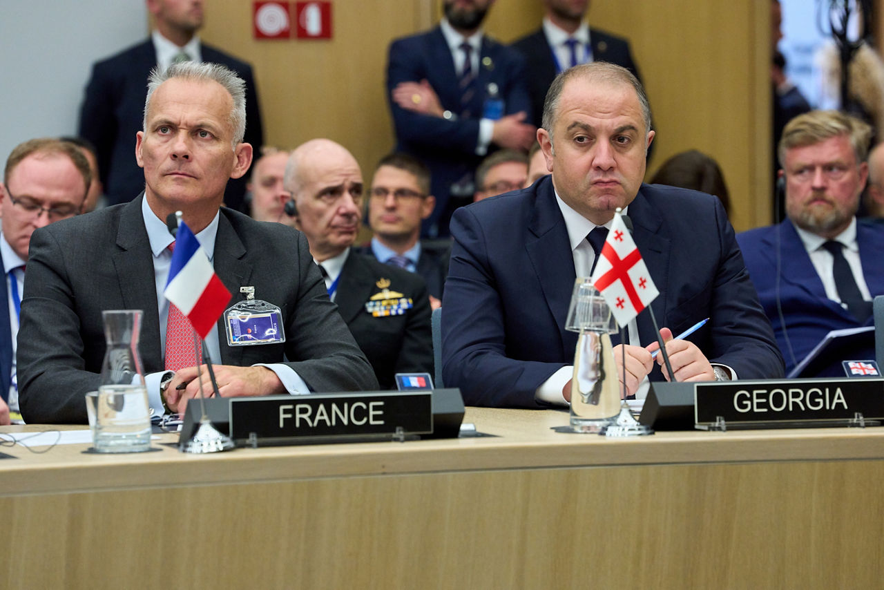 Representative for France and Irakli Chikovani (Minister of Defence, Georgia)
