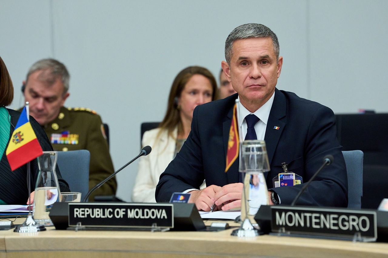 Anatolie Nosatîi (Minister of Defence, Republic of Moldova)