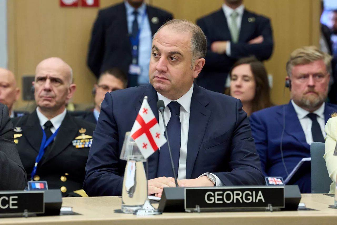 Irakli Chikovani (Minister of Defence, Georgia)