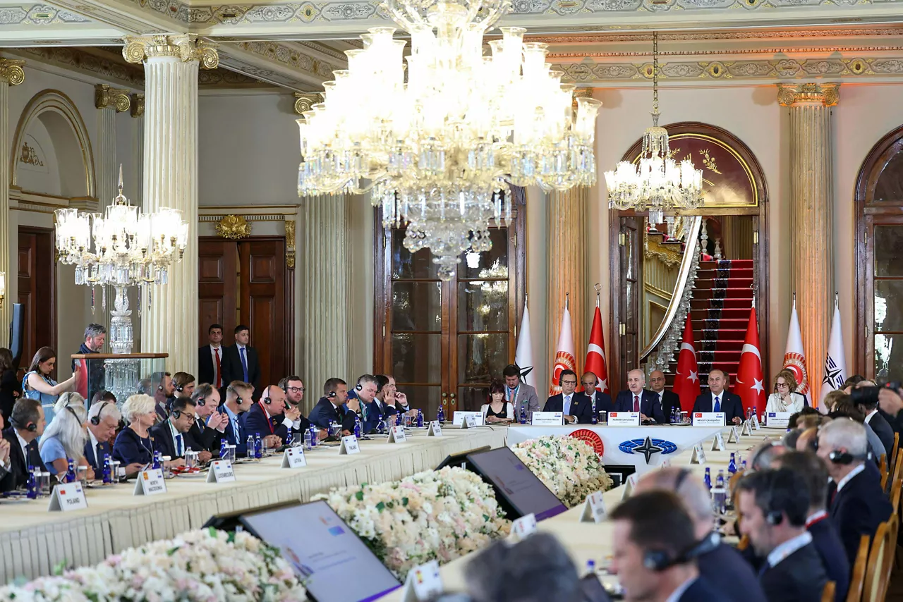NATO Deputy Secretary General Radmila Shekerinska addresses the Istanbul NATO Parliamentary Summit