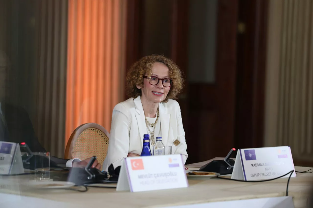 NATO Deputy Secretary General Radmila Shekerinska addresses the Istanbul NATO Parliamentary Summit