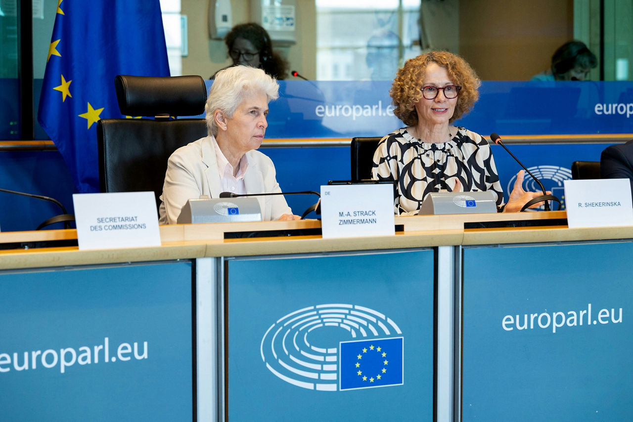 NATO Deputy Secretary General addresses the European Parliament’s Committee on Security and Defence  