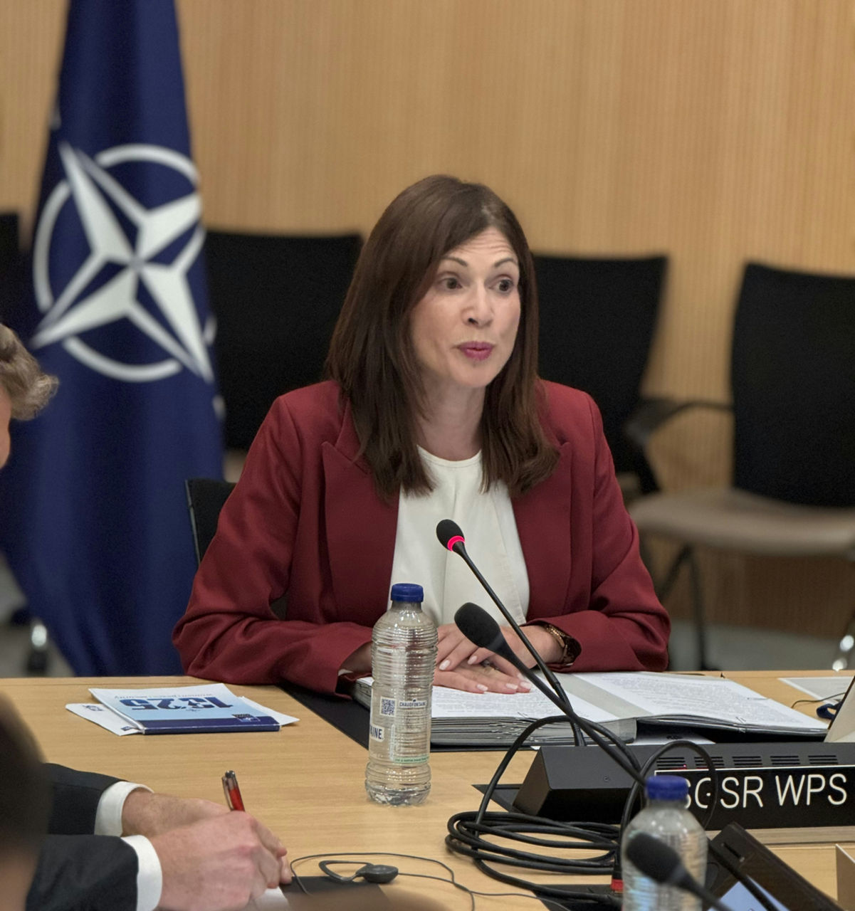 NATO hosts International Contact Group on Civilian Harm Mitigation and Response