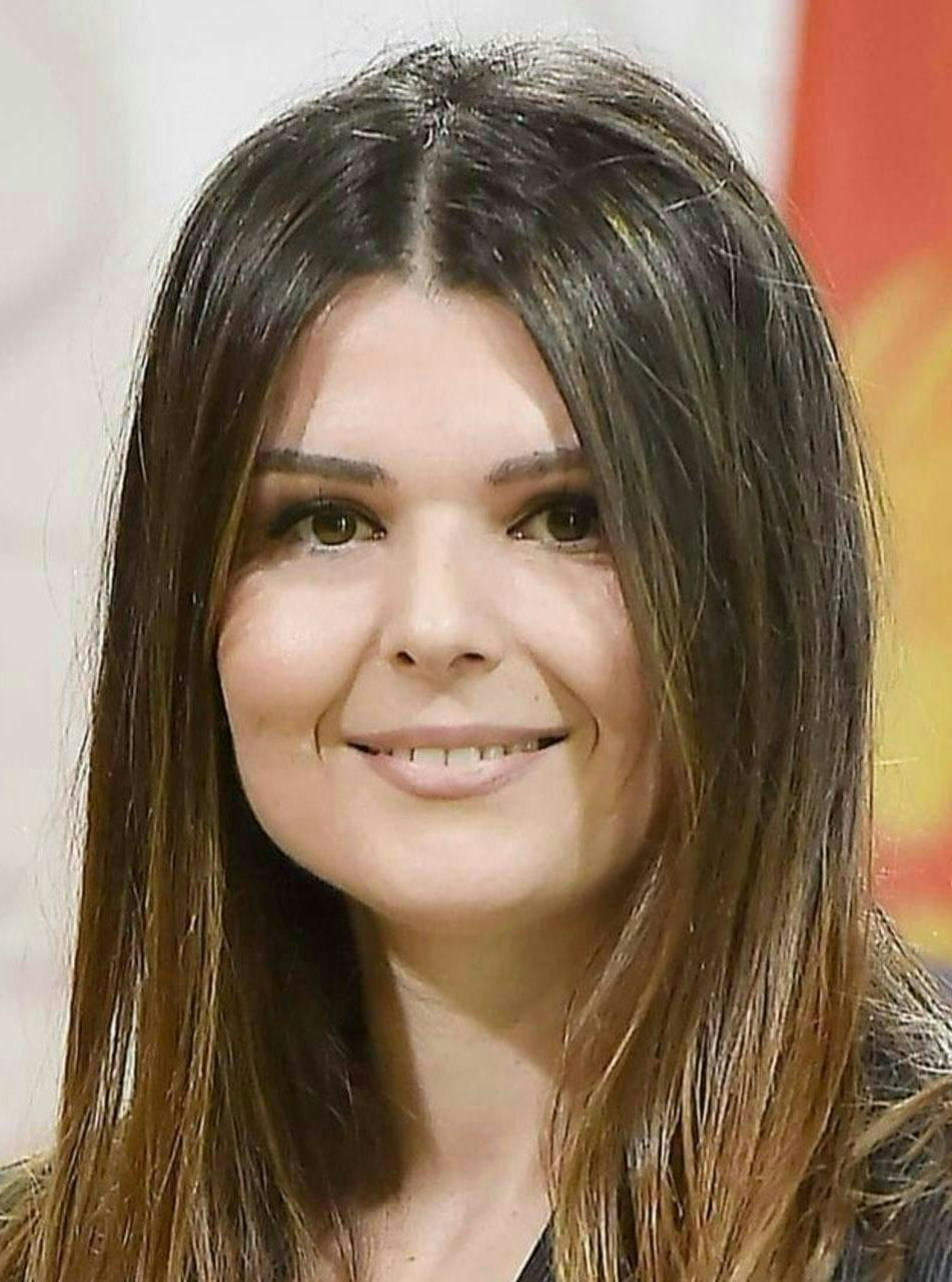 Montenegro - Permanent Representatives | OTAN Biographie