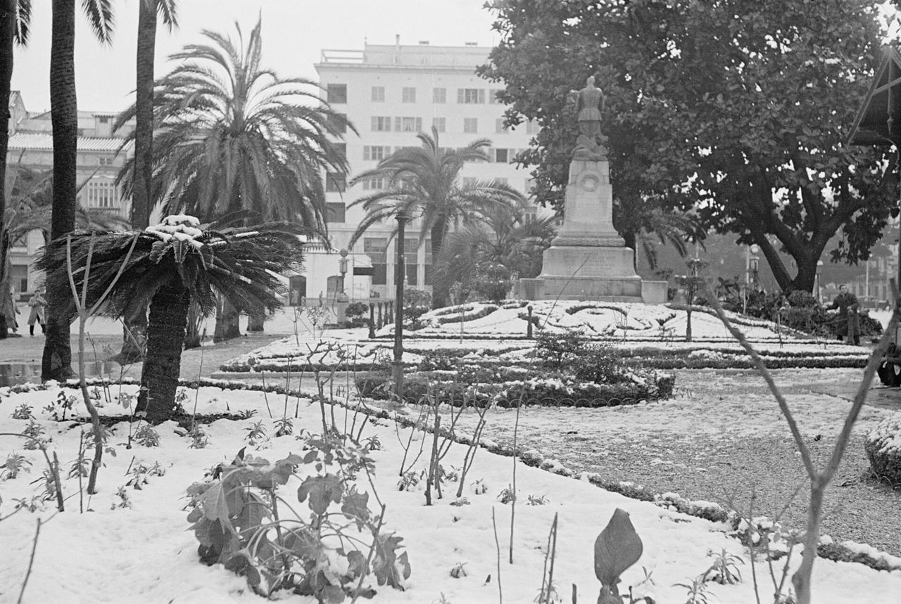 Málaga Park covered in snow in 1954, with the monument to Commander Benítez, in Málaga, Spain. (Source: Málaga nevada. El Parque. Febrero de 1954. España-09, imagen disponible en el Archivo Histórico Fotográfico de la Universidad de Málaga)
